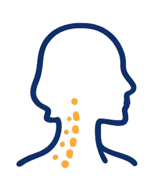 Neck Pain